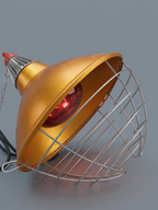 Lampade Riscaldanti per Cani e Animali